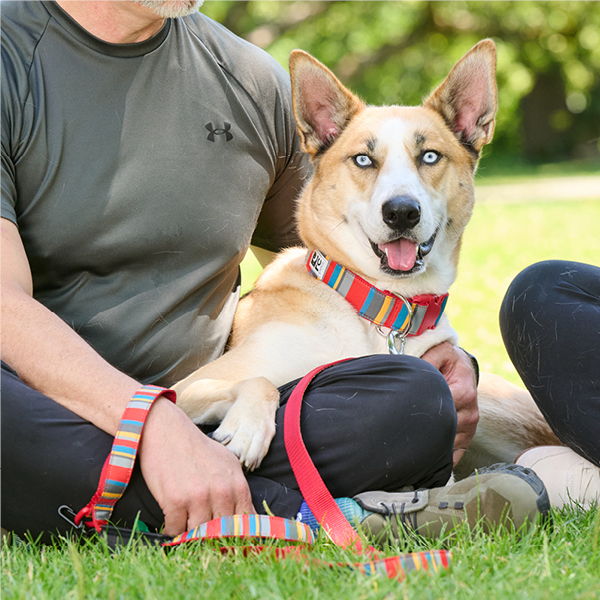 Person sitting with a dog in a grassy area, both relaxed and happy.