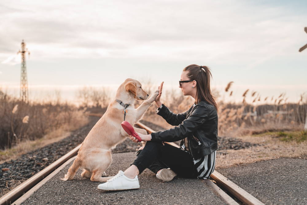 A woman giving her dog a high 5