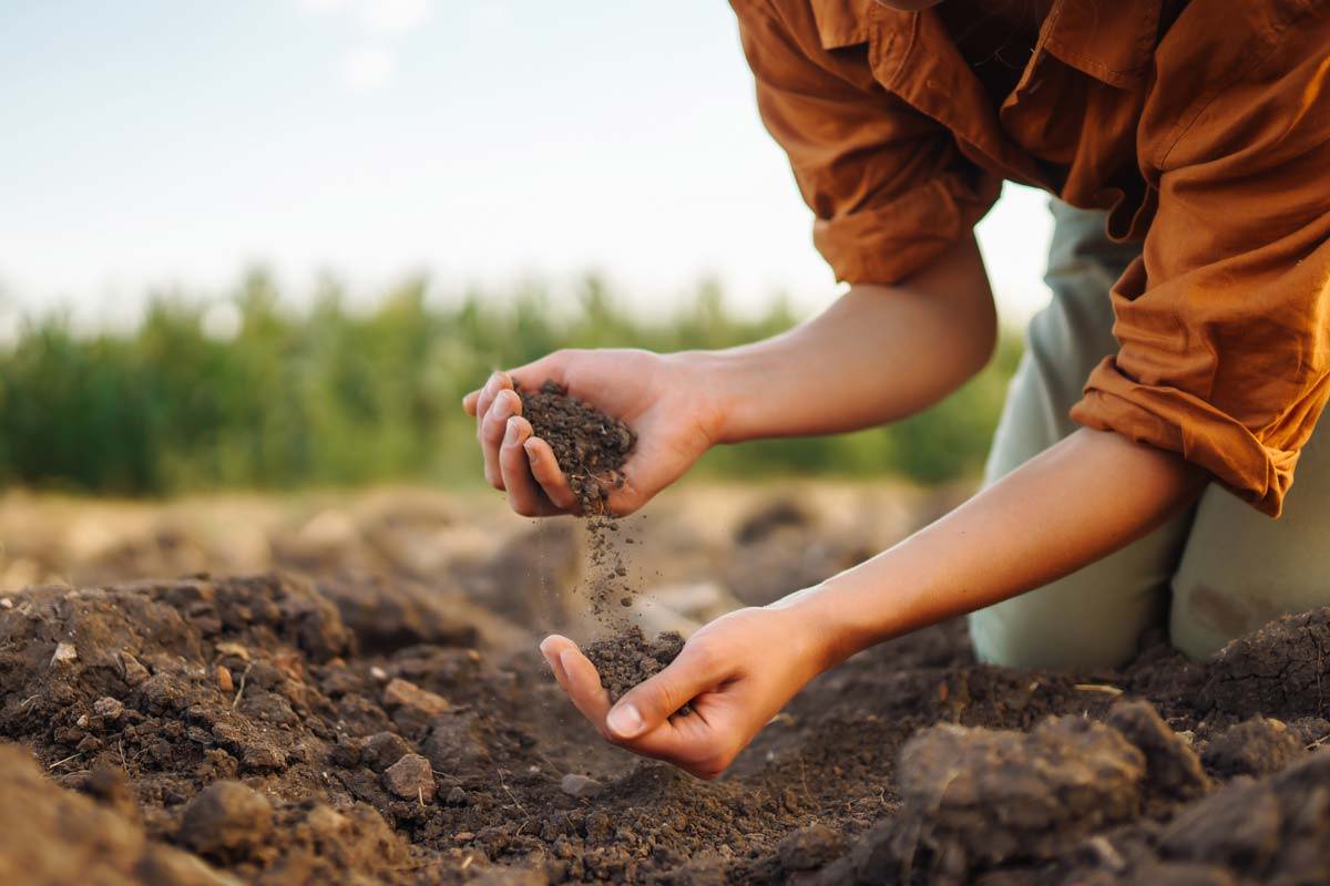 A person kneeling in the dirt, moving soil between cupped hands