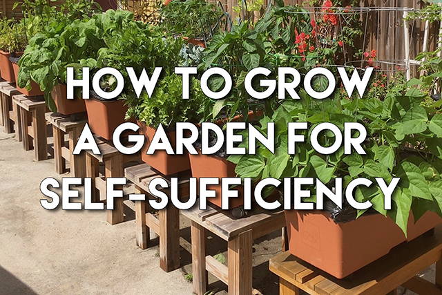 How To Grow a Self-Sufficient Garden using EarthBox