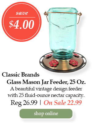 Classic Brands Green Glass Mason Jar Feeder, 25-ounce - Save $4.00! A beautiful vintage design feeder with 25 fluid-ounce nectar capacity. | Regular price $26.99 - On Sale $22.99 | Shop online