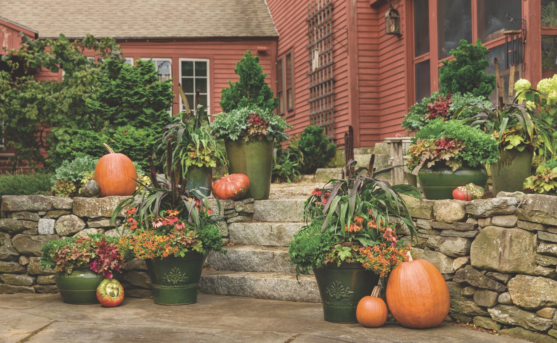 Scene of a fall outdoor patio with containers filled with Fun and Games® Hopscotch Foamy Bells and Creme Brulee Coral Bells next to pumpkins