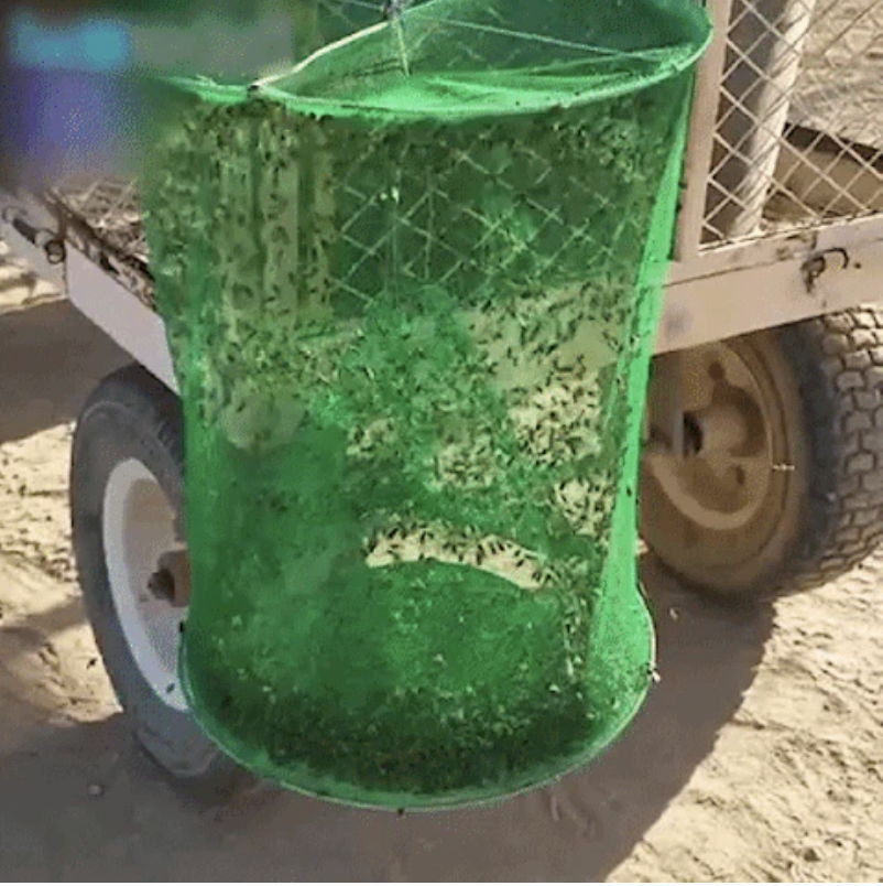 Green mesh container on a cart, possibly for collecting items.