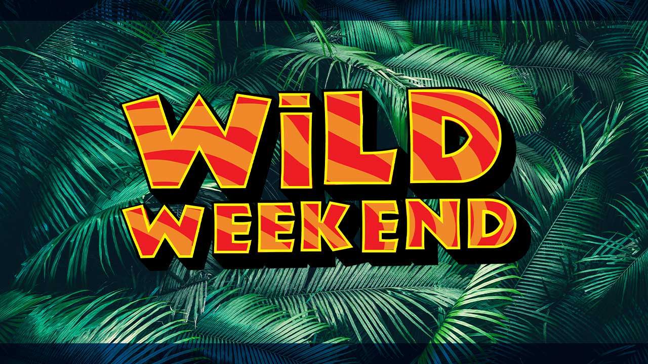 Get Wild Furniture Savings During Wild Weekend At Furniture Fair!