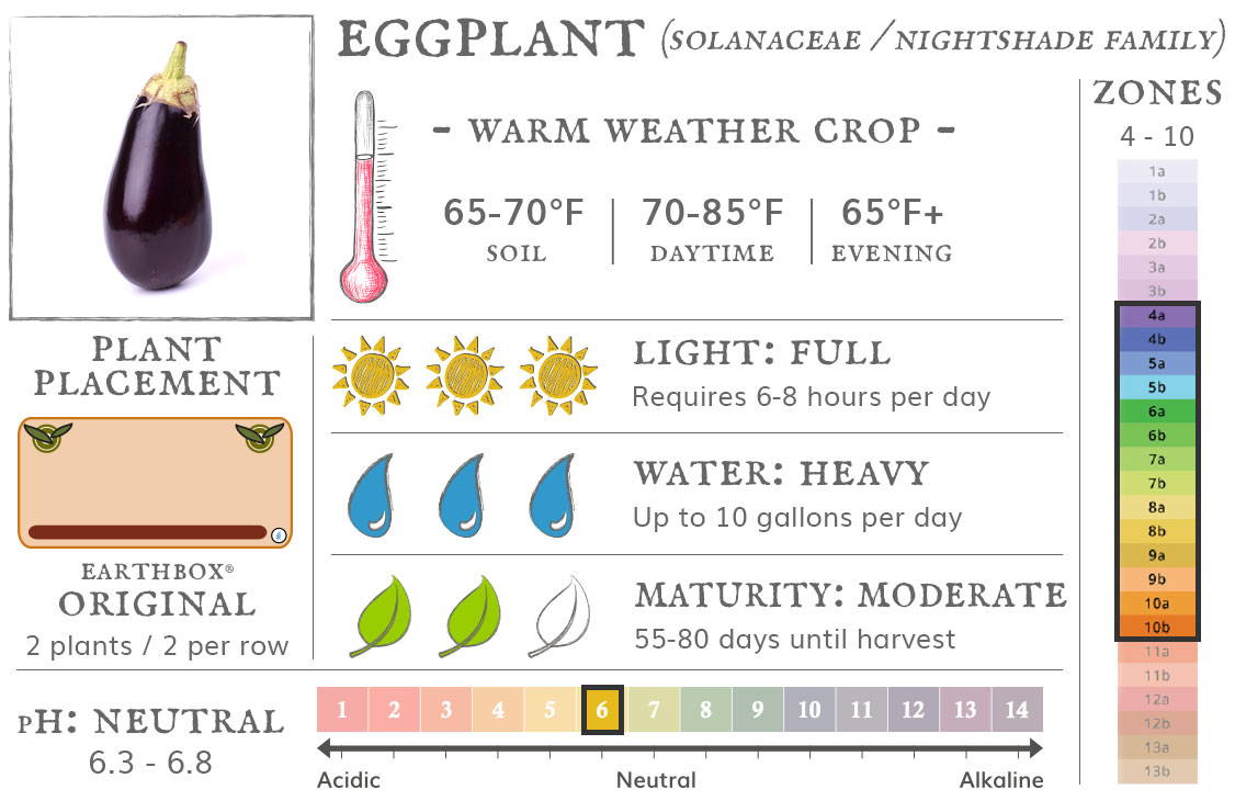 Eggplants are a warm weather crop best grown in zones 4 to 10. They require 6-8 hours sun per day, up to 10 gallons of water per day, and take 55-80 days until harvest. Place 2 plants, 2 per row, in an EarthBox Original