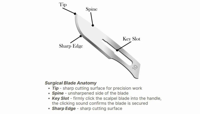 Surgical Blade Antomy