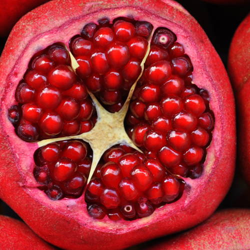 A pomegranate 