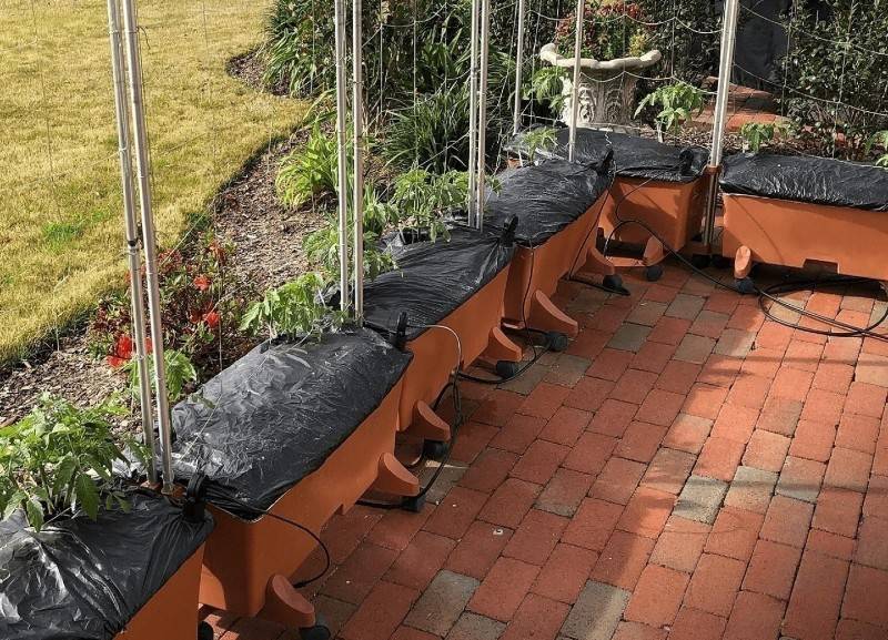 Self-watering garden boxes