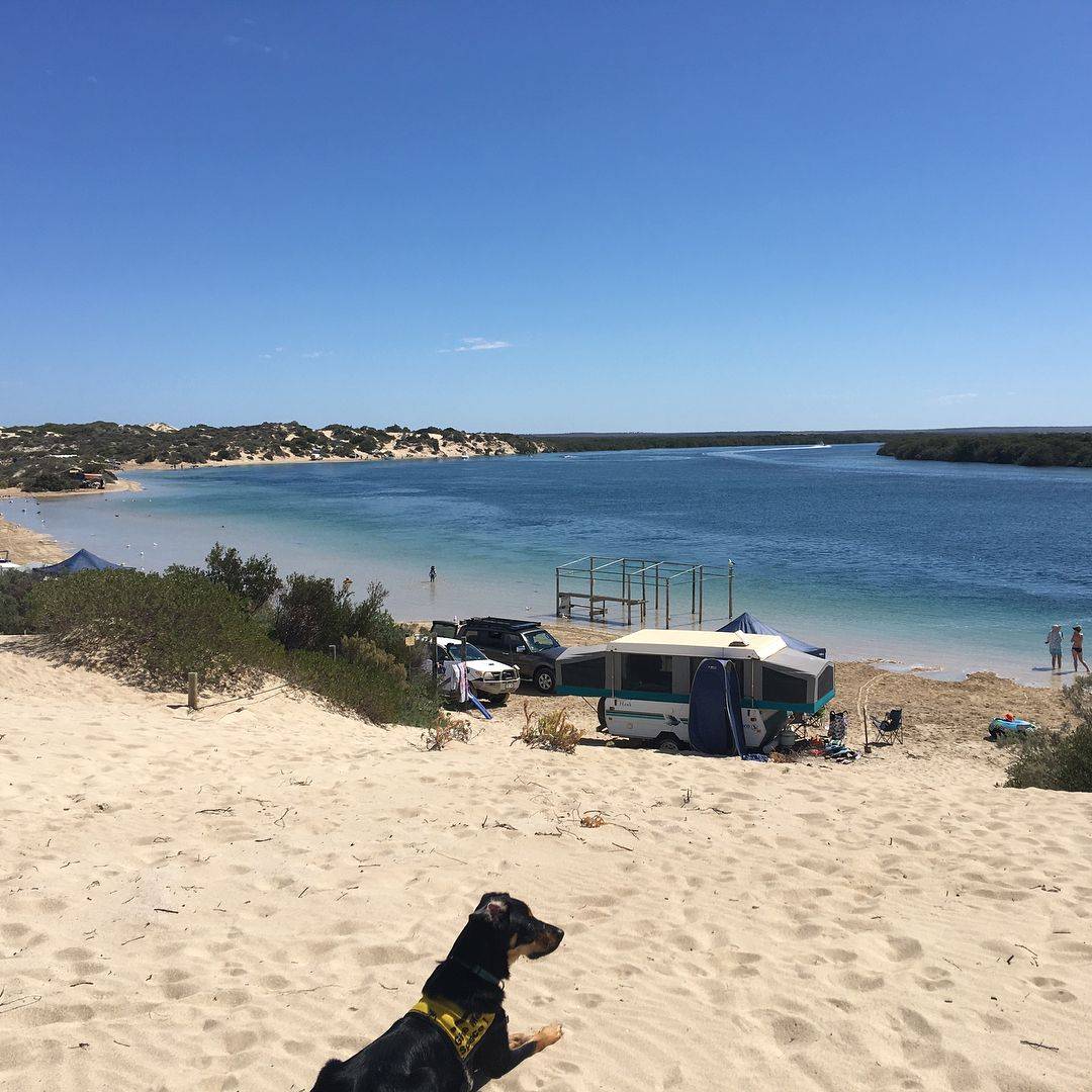 Ceduna Shelly Beach Caravan Park, SA, Dog friendly camping South Australia