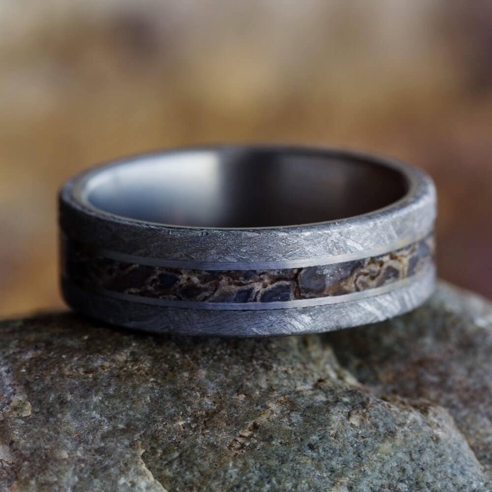 Large Fossil Ring with Meteorite