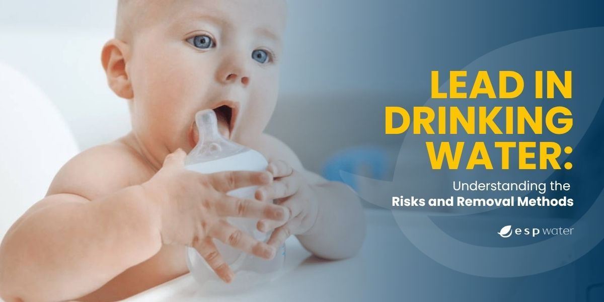 Protech children and household from dangers of lead in water