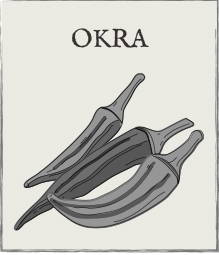 Jump down to Okra growing guide
