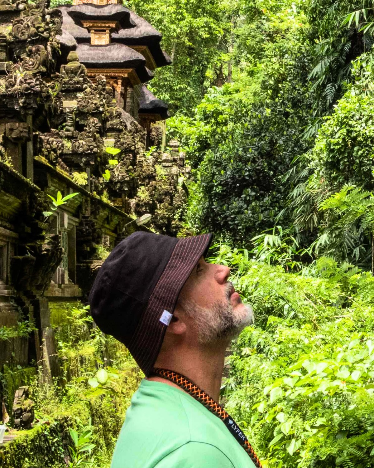 bird-watcher in ubud looking up and practicing mindfulness with temple in the background