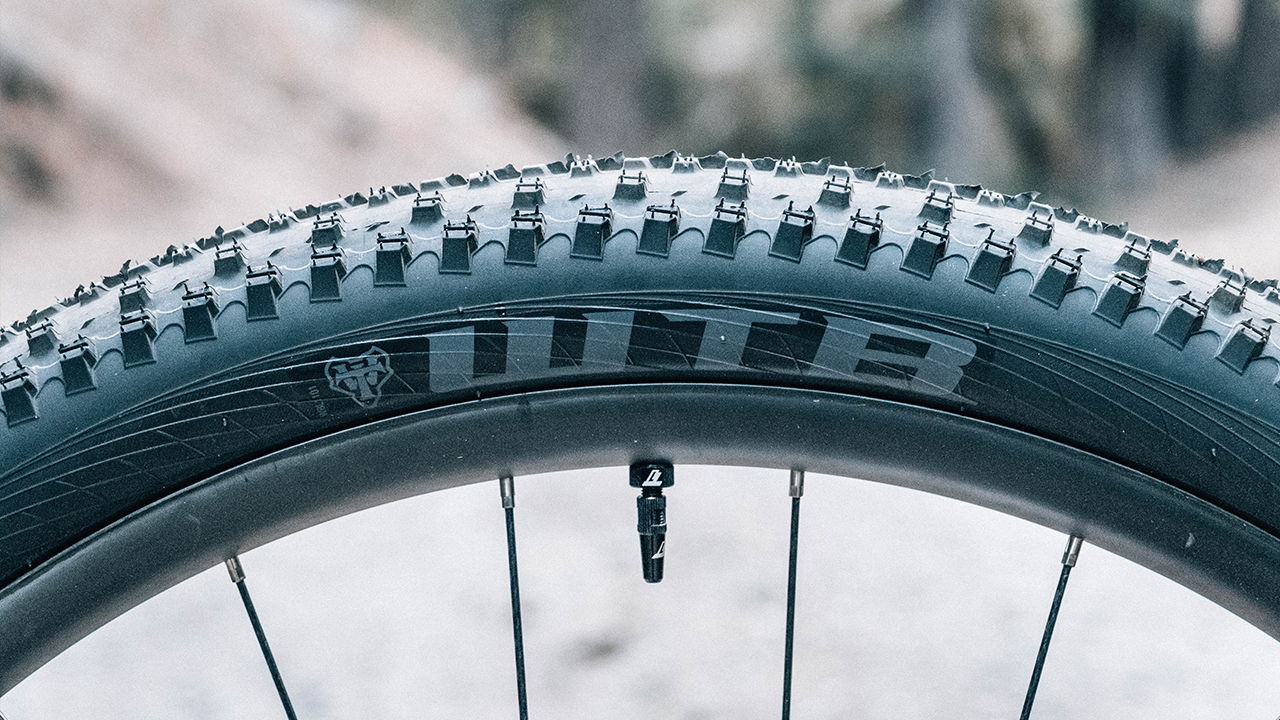 WTB Ranger Tire