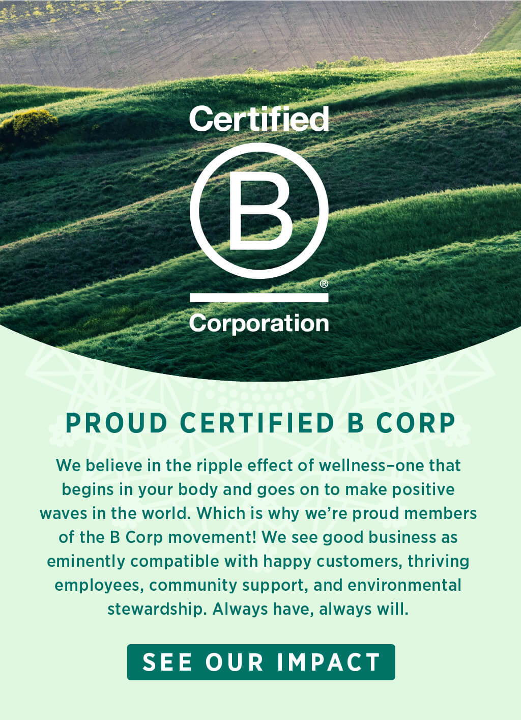 We believe good business is eminently compatible with thriving employees, community support, and environmental stewardship. Which is why we’re proud members of the B Corp movement. 