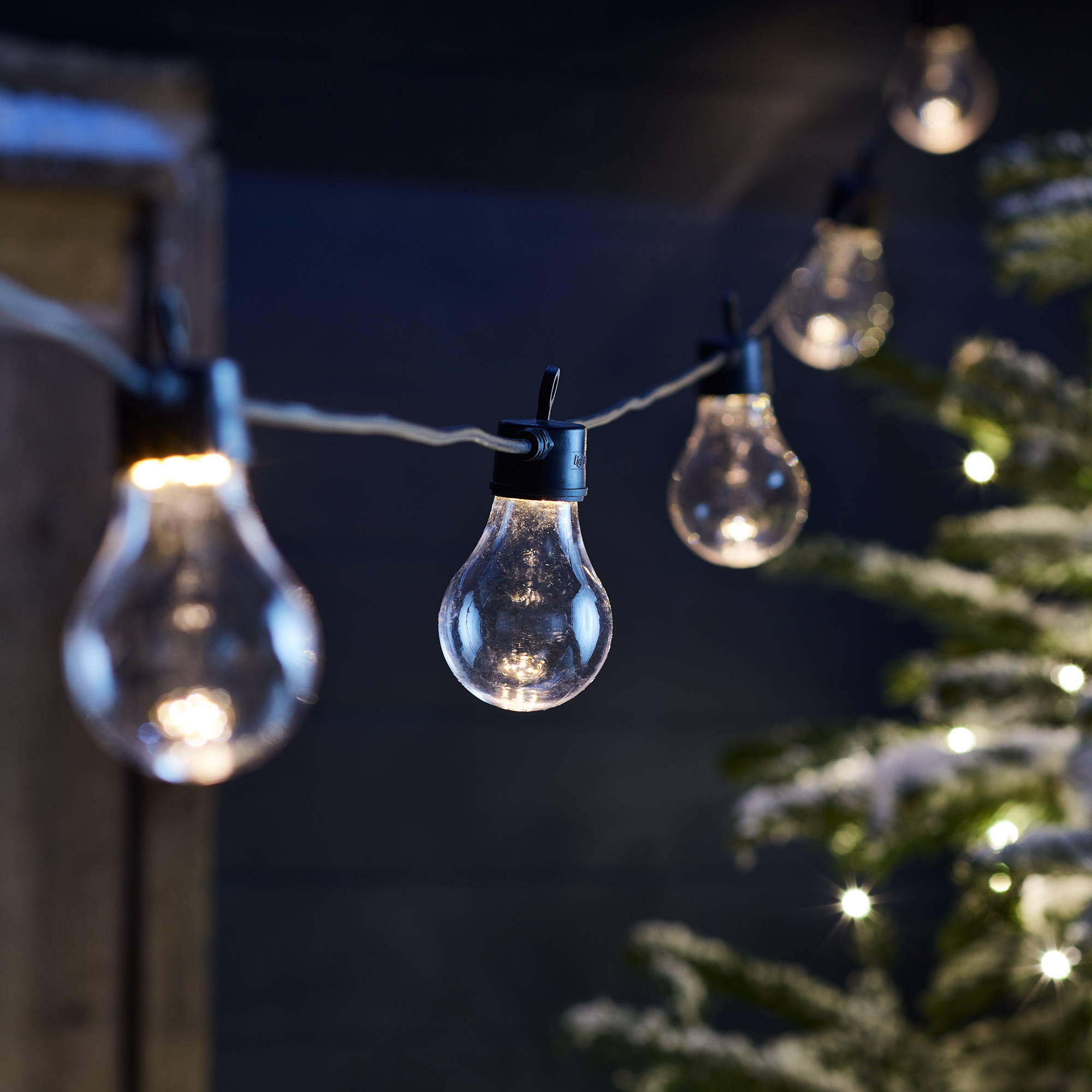 Festoon lights on a black cable with a Christmas tree in the background.