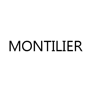 Armbänder-Uhr-kompatibel-Marke -Montilier