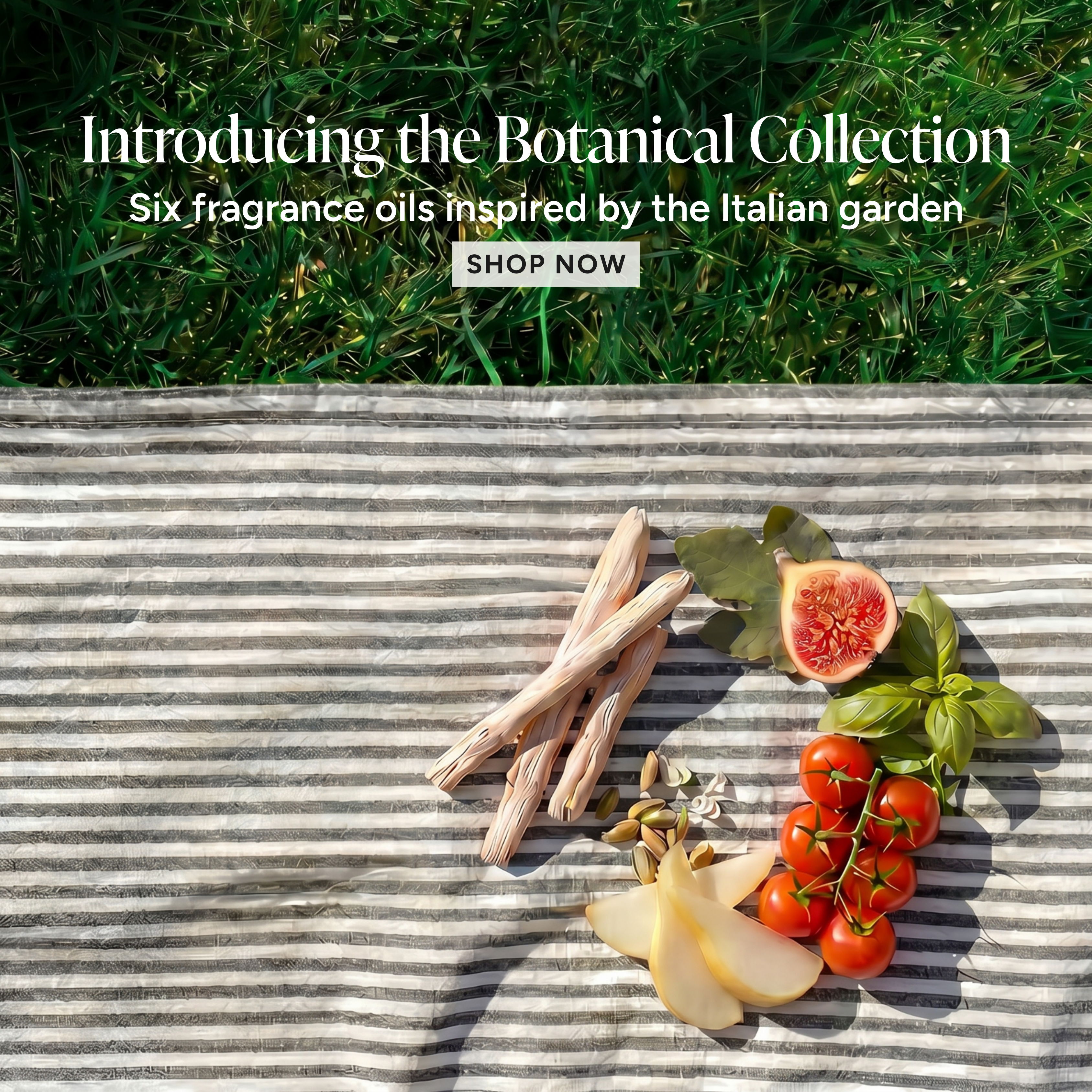 Stripes blanket with herbs, figs, tomatoes, and promotional text about a fragrance collection.