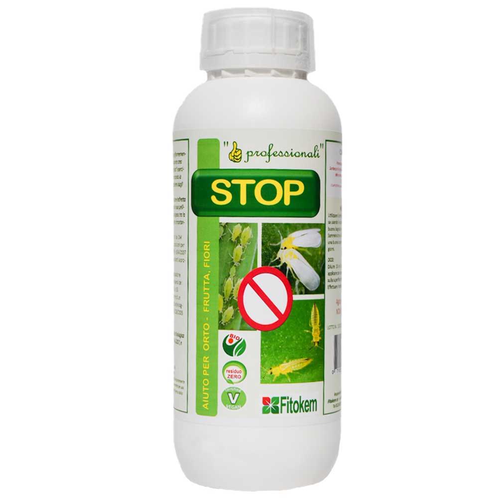 orto, giardino, agricoltura