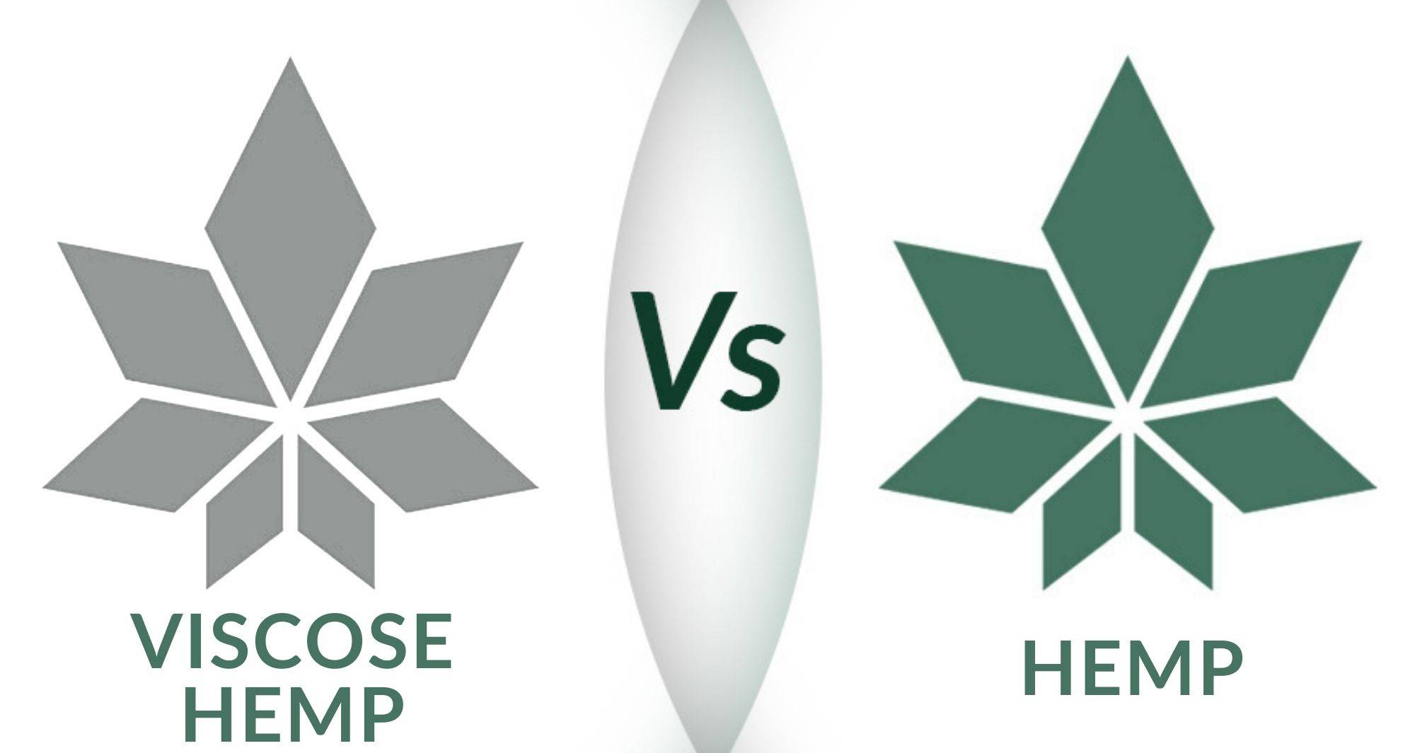 Viscose Hemp Vs Hemp image by WAMA Underwear