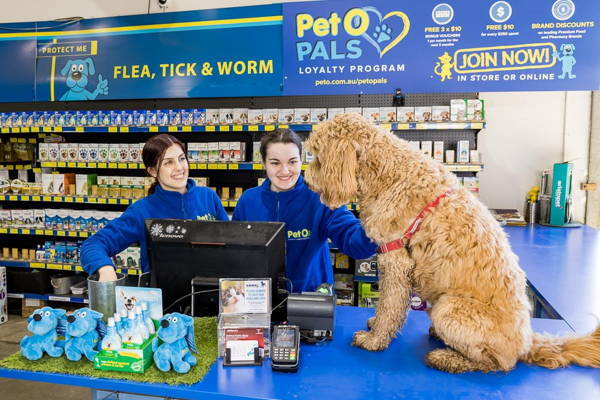 A dog sitting on the counter of a pet store next to two staff members