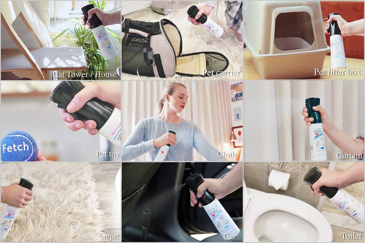 犬猫のトイレやベッドに使えるペット用消臭除菌スプレーの使用イメージ