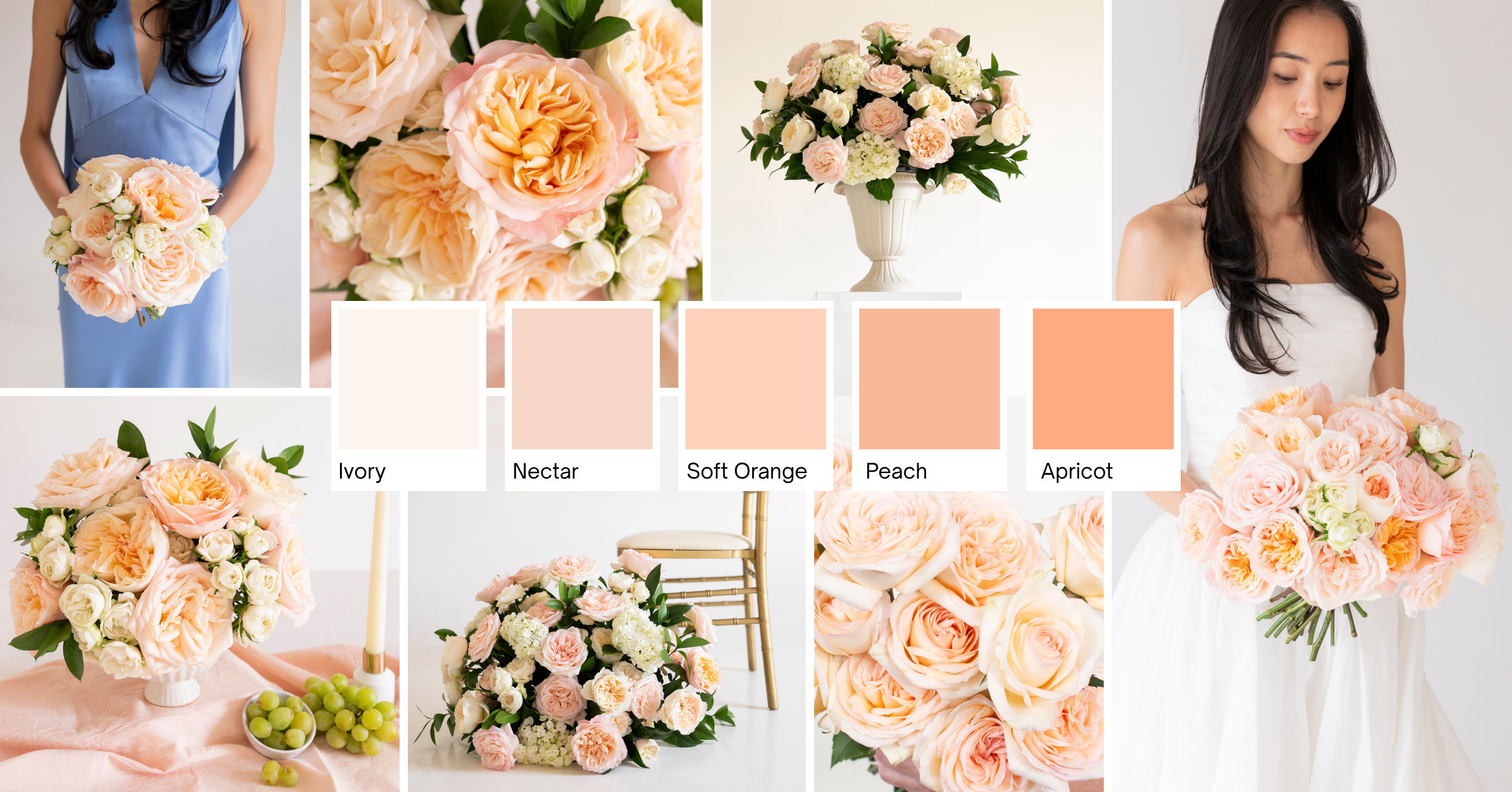 Peach Garden Rose