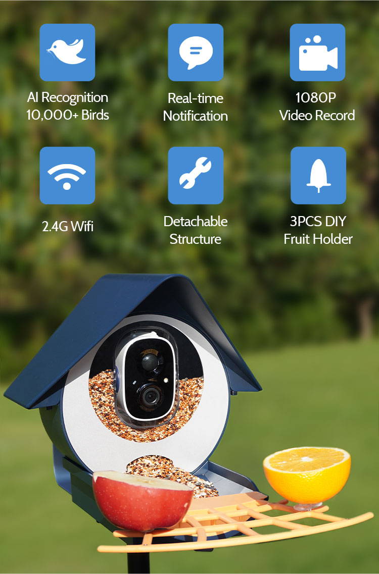 Birdkiss smart bird feeder with bird seed, apples and oranges and key features of this