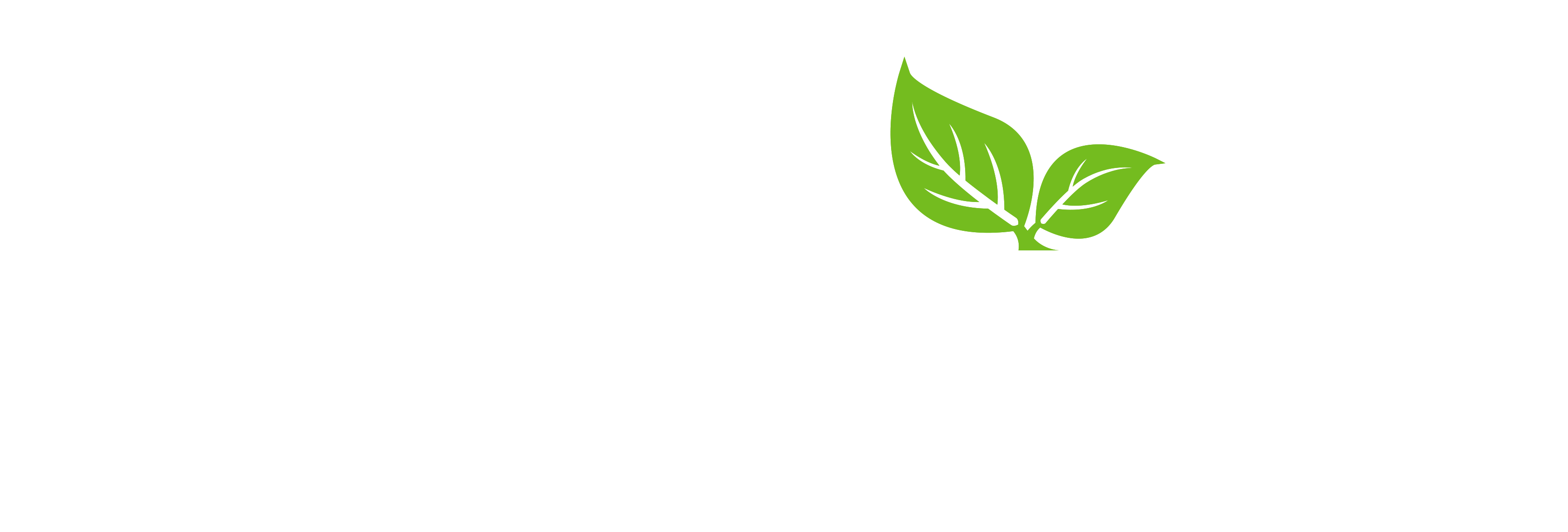RainPoint logo with green leaf element.