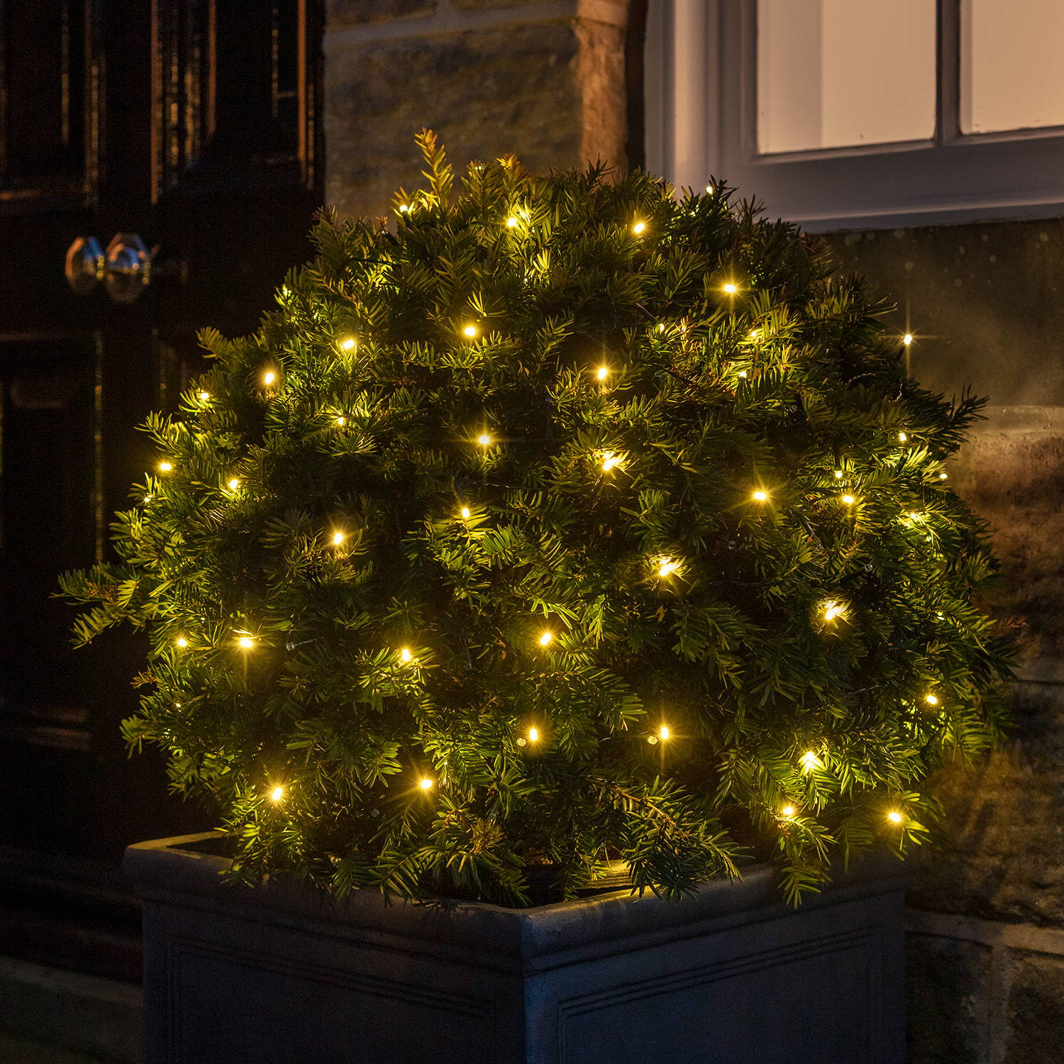 100 Warm White LED Outdoor Battery Fairy Lights On Green Cable