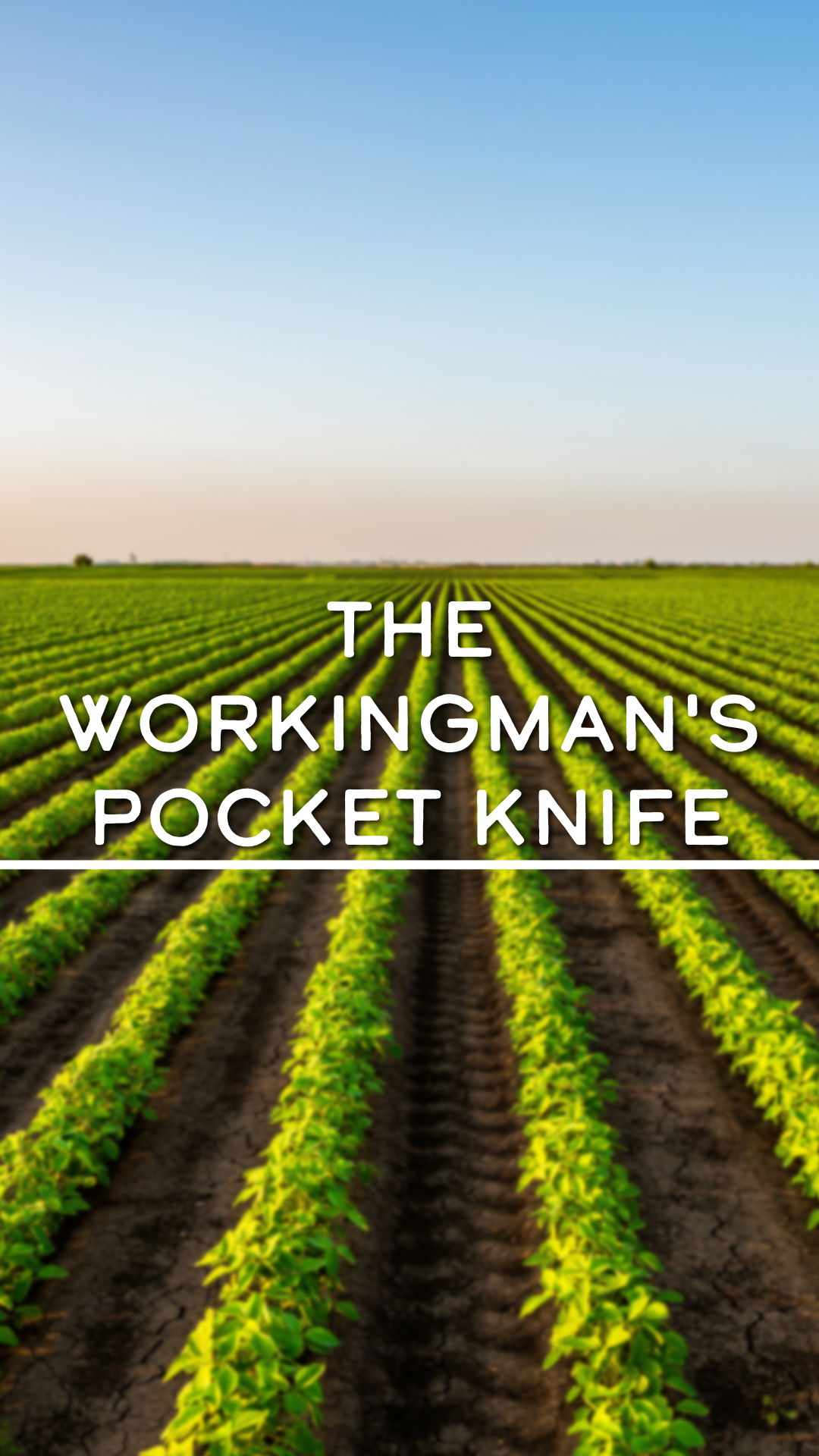 A field of crops with text overlay: 