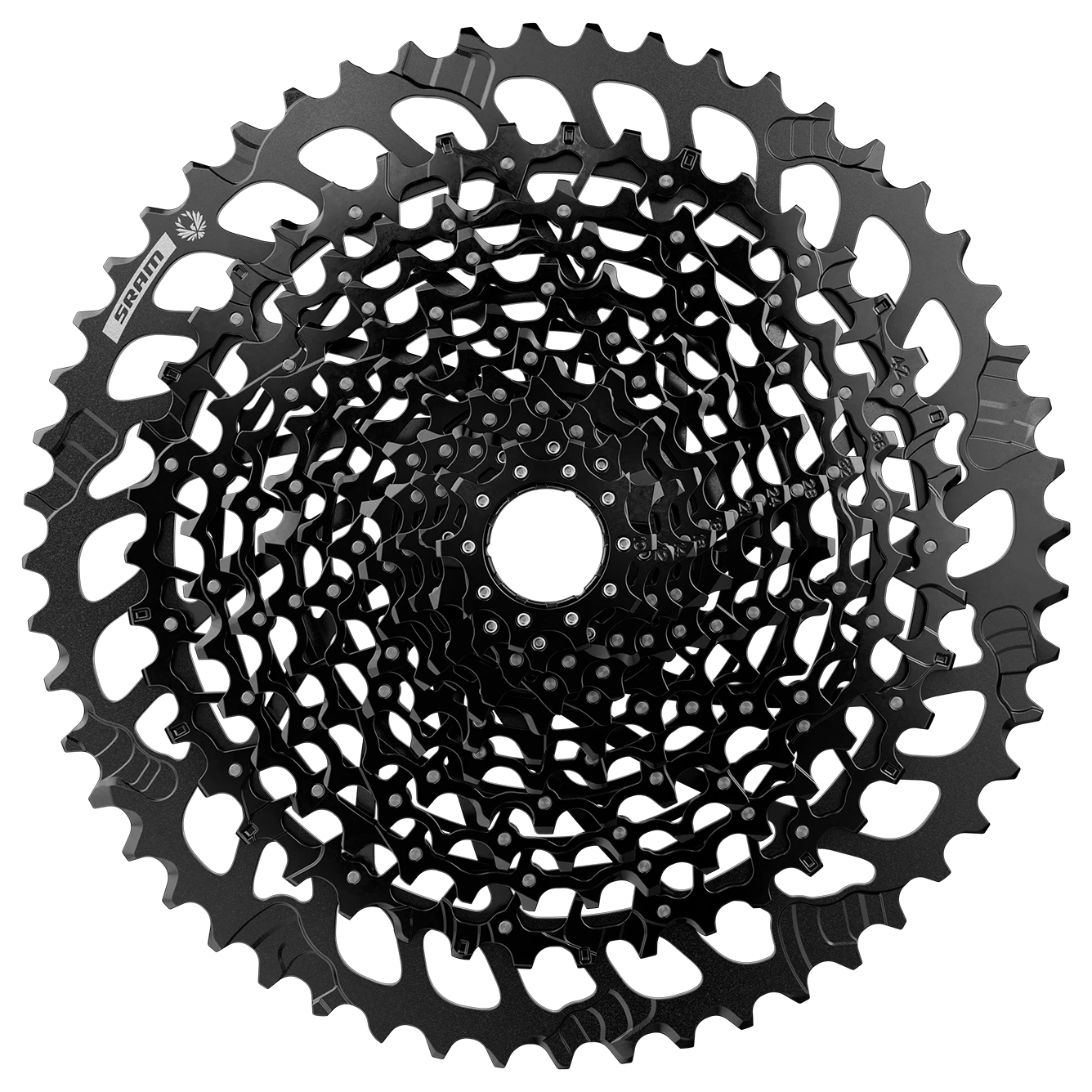 Black bicycle cassette with multiple gears arranged in a circular pattern.