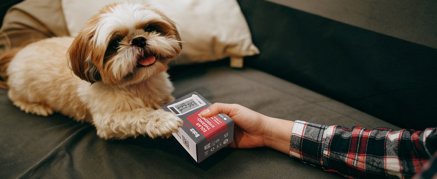 A dog reaching for a box held by a person.