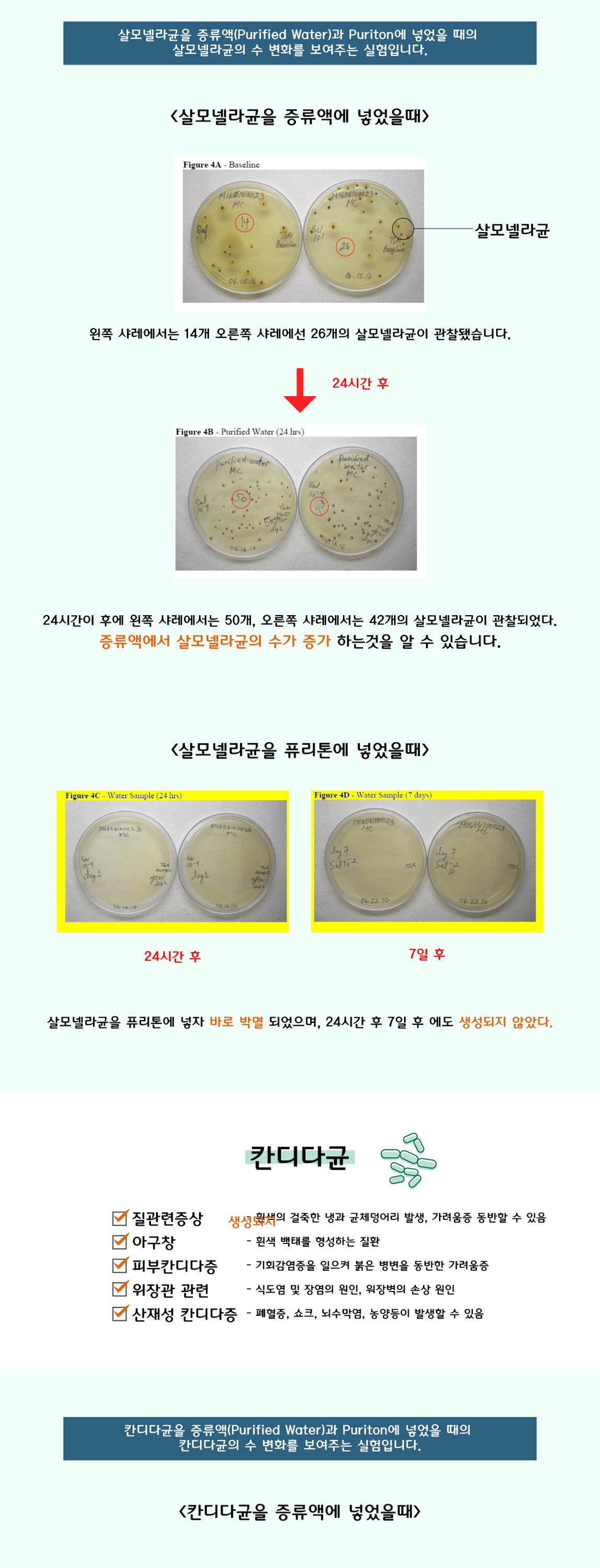 유해균 박멸 및 2차 세균 감염방지 복부통증 패혈증 피부염 발열 식중독 대장균 포초상구균 녹농균 살모넬라균 칸디다균 유아 성인 설사증 원인 출혈성 대장염 용혈성 요독증증후군 