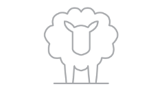 Wool fiber icon