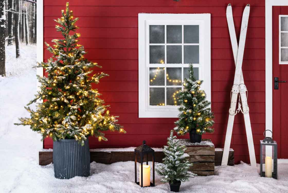 A red outdoor shed with a Christmas tree, 2 mini Christmas trees and 2 lanterns.