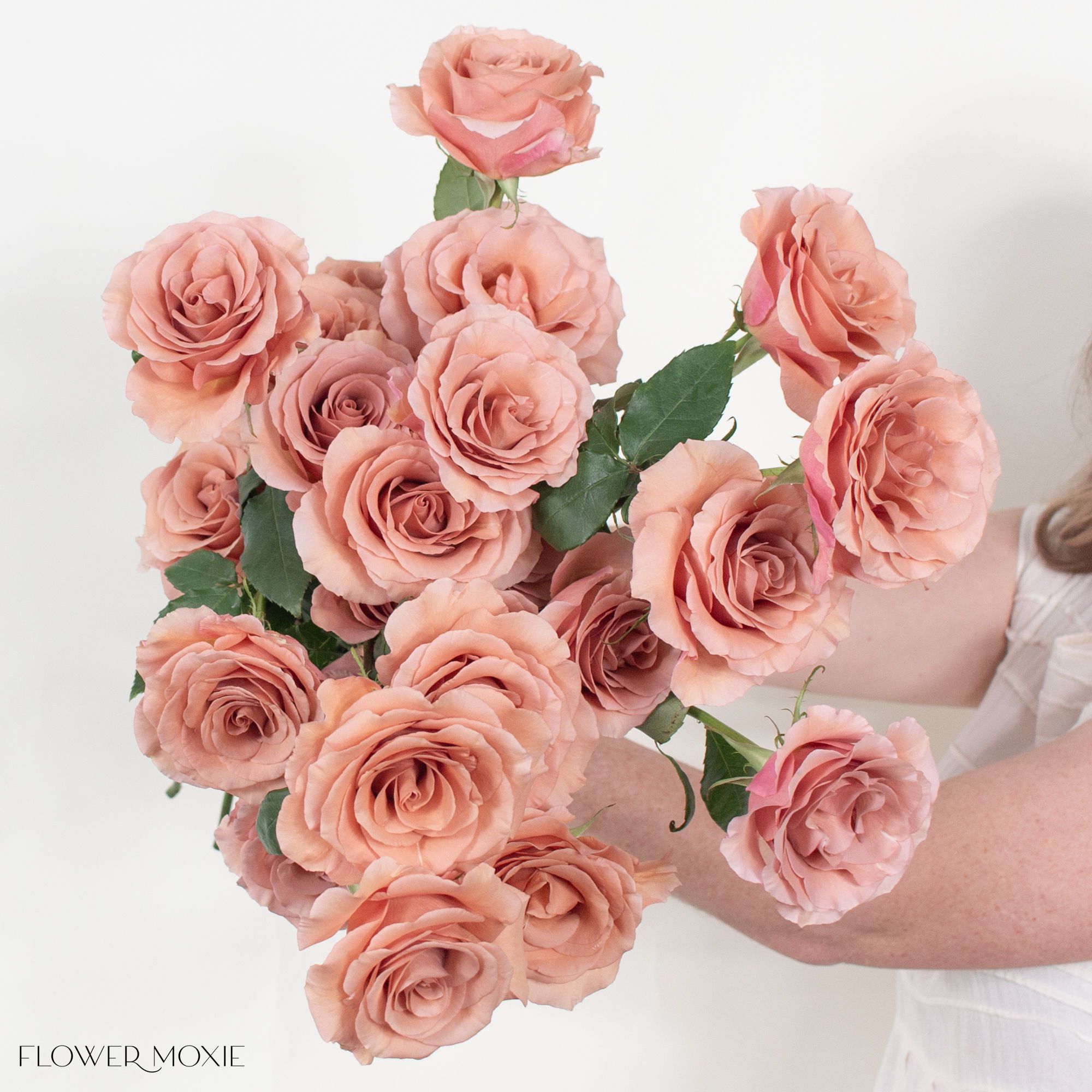 moab rose