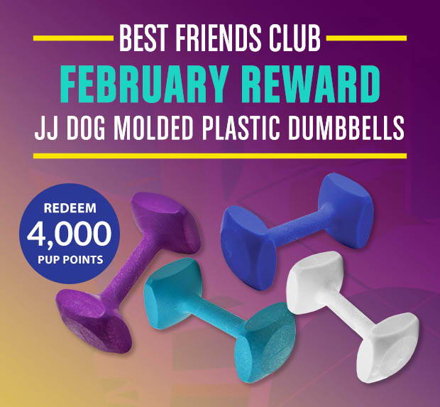 J&J Dog Supplies Best Friends Club Rotating Reward 