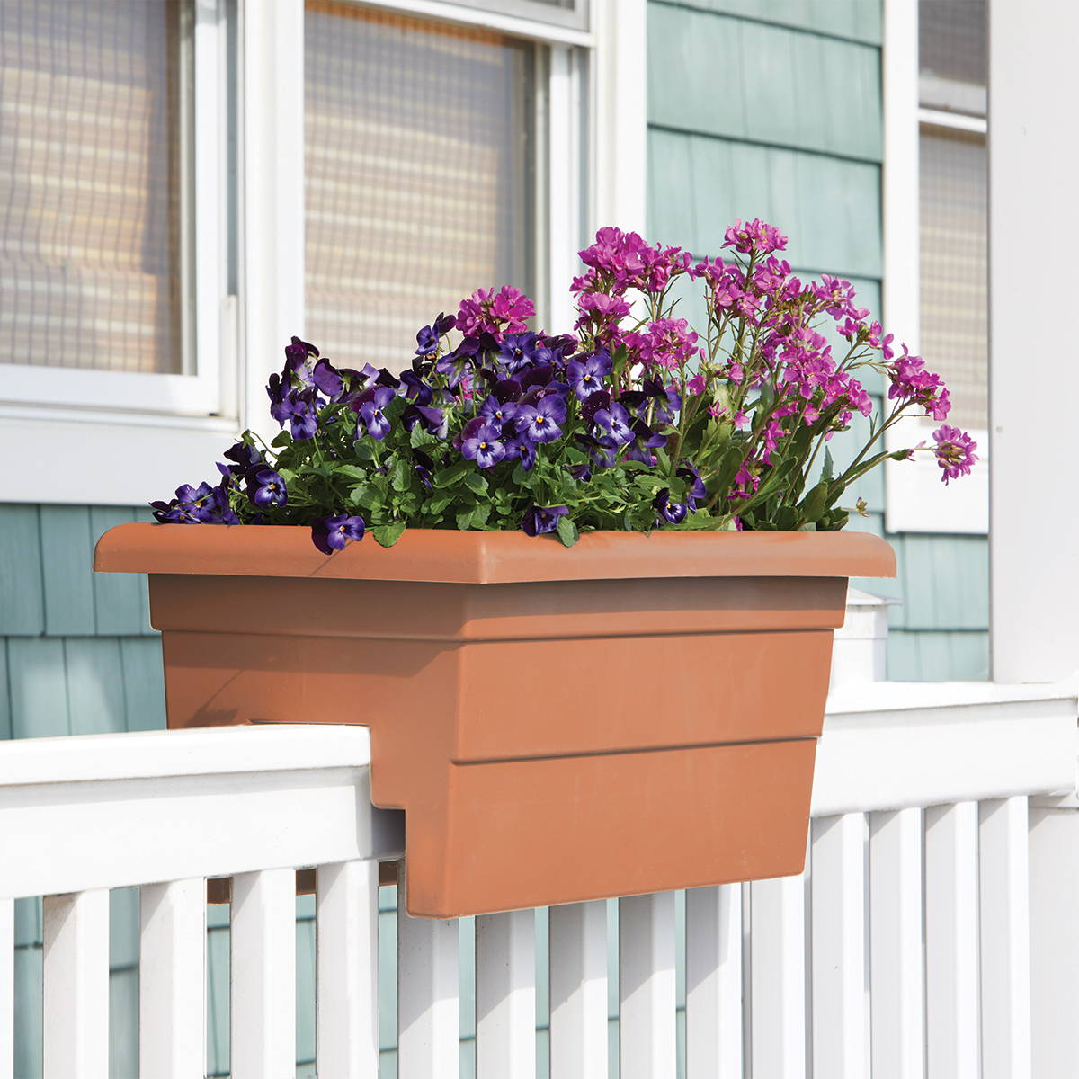 Terracotta railing planter planted with springtime pansies