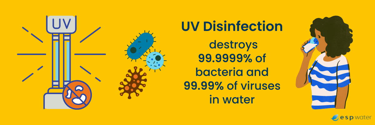 UV sterilizers remove viruses and bacteria from water