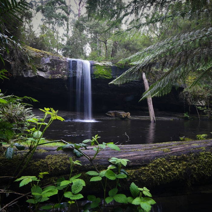 Erskine Falls, Lorne, Best Waterfalls near Melbourne