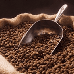 Café en grain Robusta 500g - Togo – Mansa