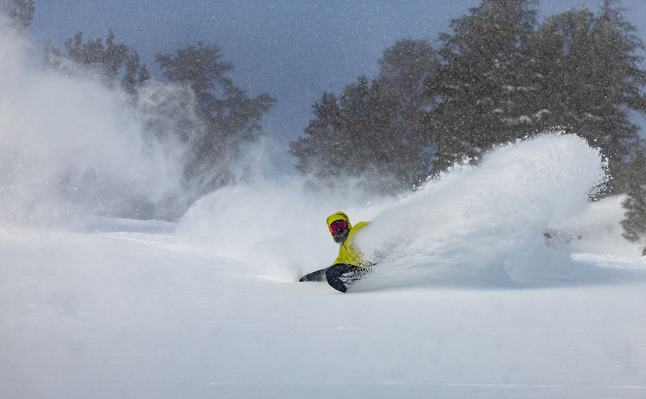 Person skiing in deep snow with trees in the background.