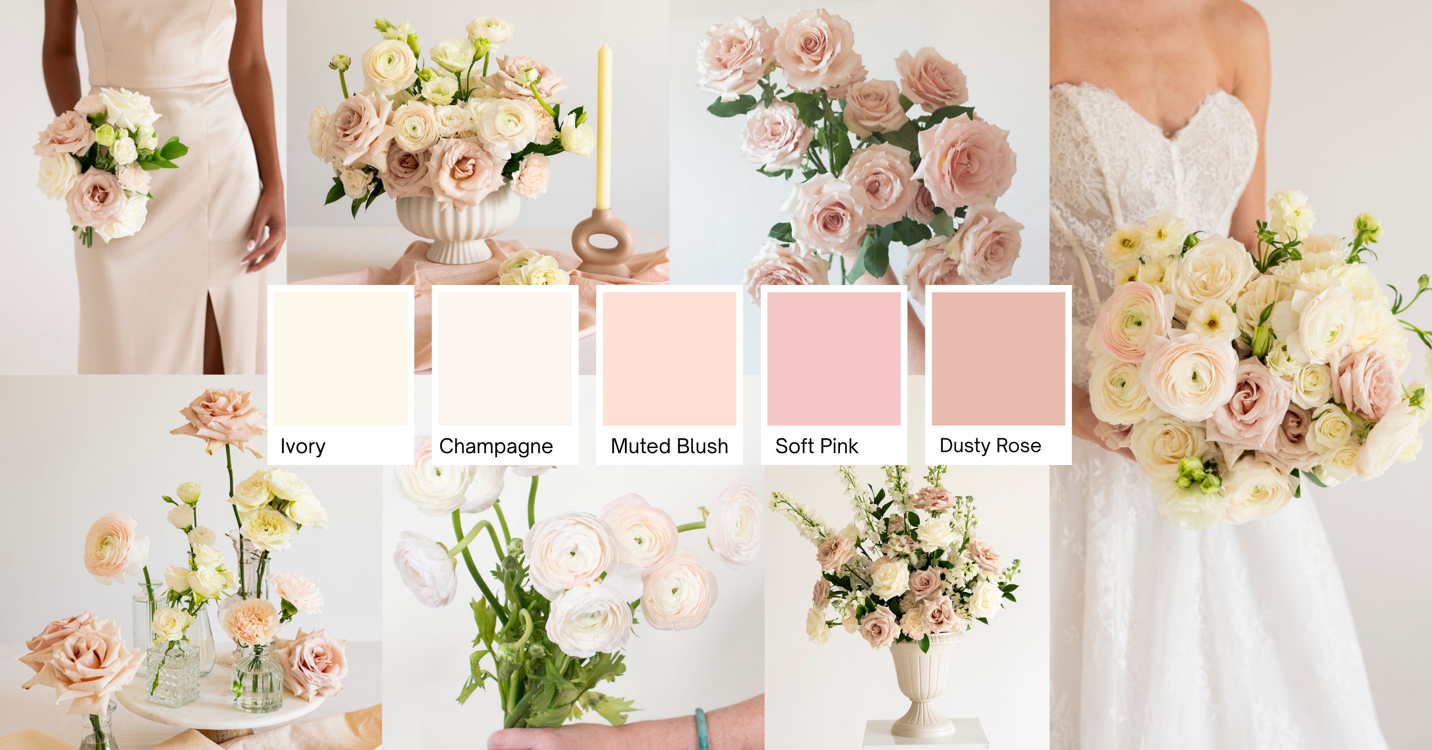 Blush and Cream