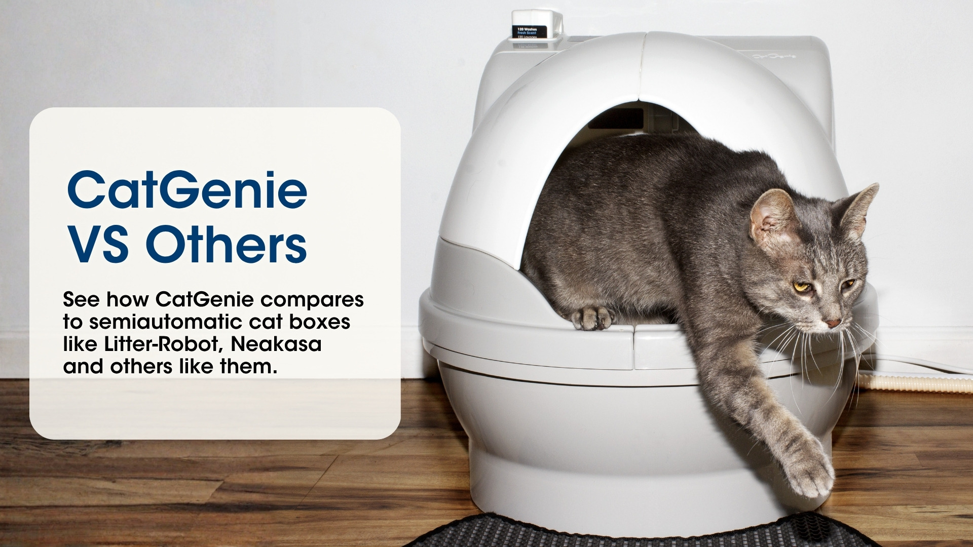 CatGenie VS Others. See how CatGenie compares to semiautomatic cat boxes like Litter-Robot, Neakasa and others like them.