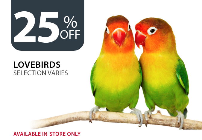 25% off Lovebirds. Selection varies. Available in-store only.