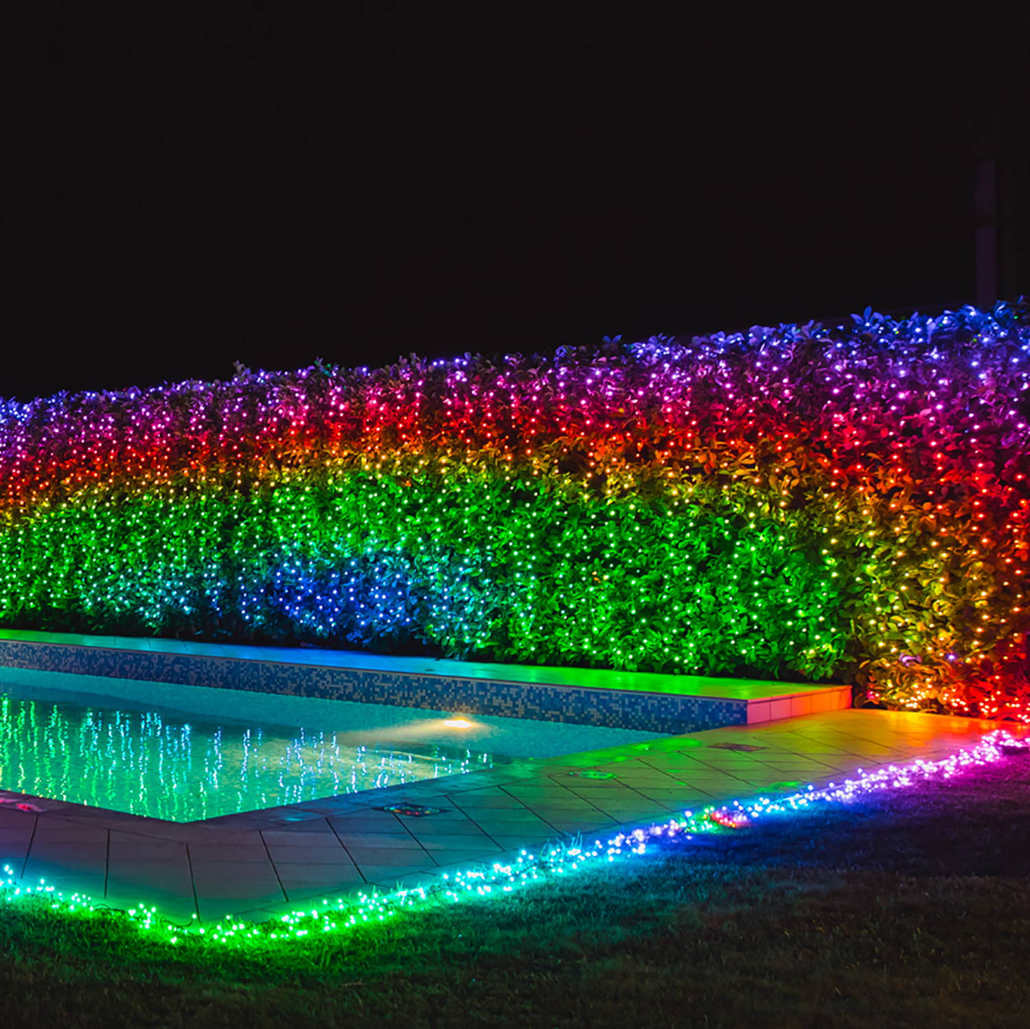 A multi coloured Twinkly Curtain on a hedge next to a swimming pool.