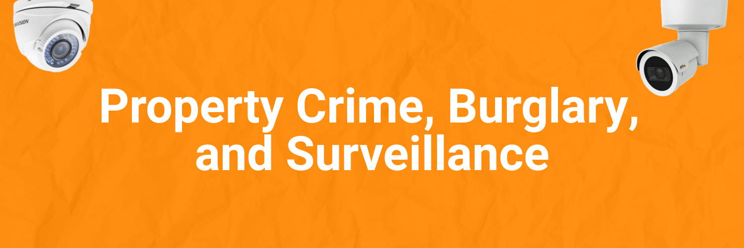 Property Crime, Burglary, and Surveillance