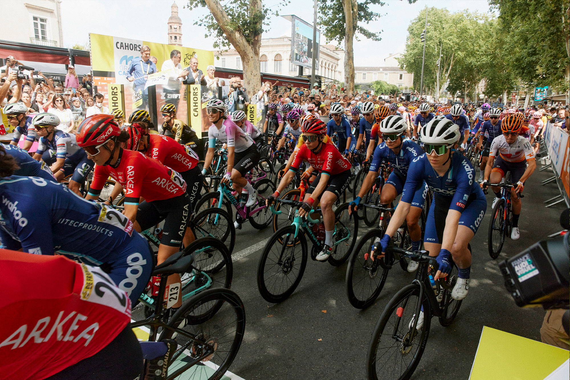 Team Coop-Hitec Products in the bunch