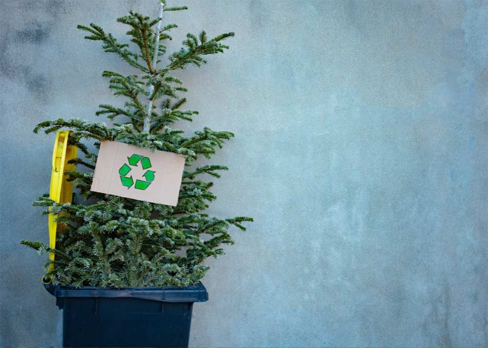 Go Green This Holiday Season